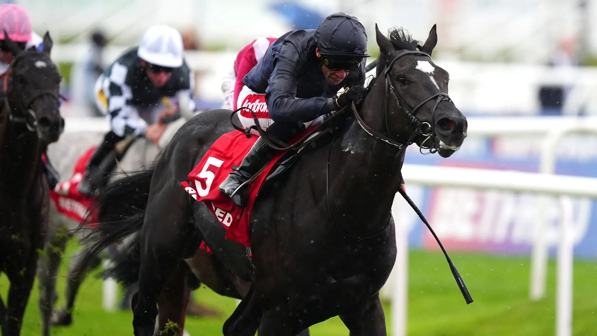Puerto Rico fancied to outrun his odds in St James’s Palace