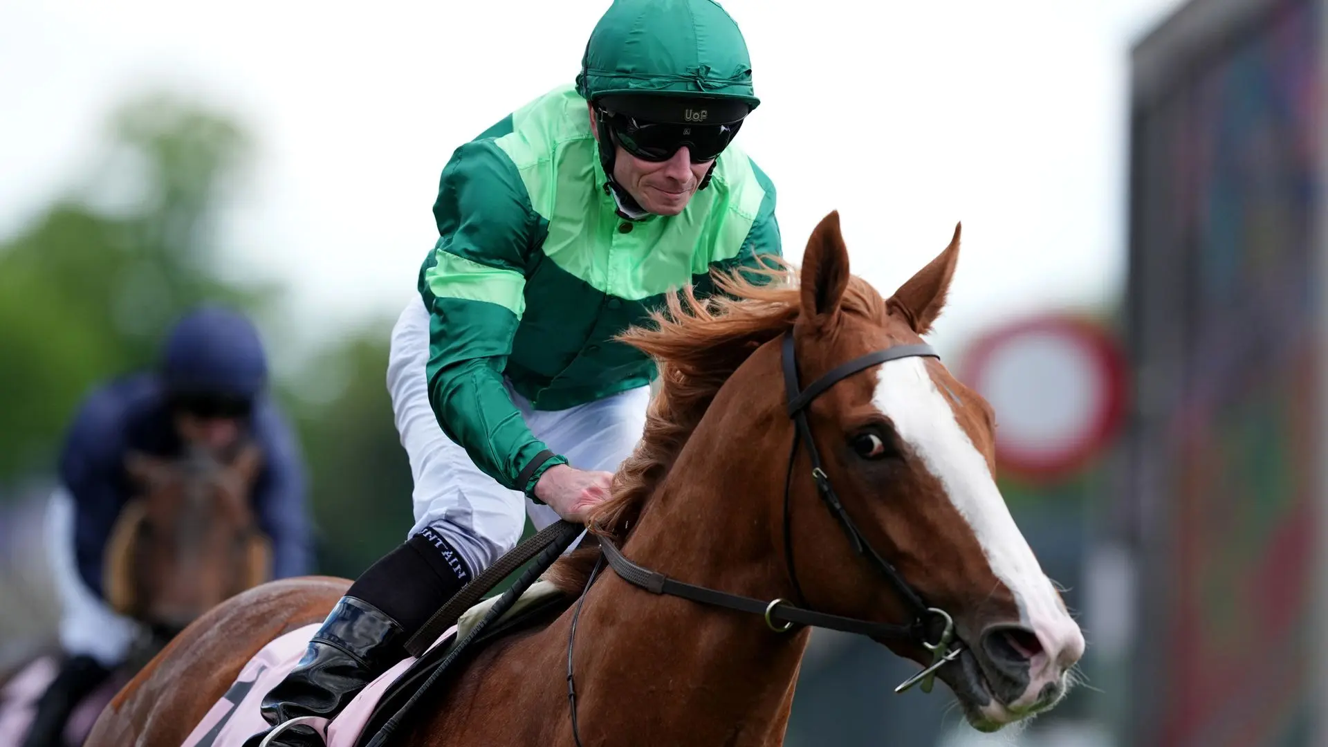 Controversial Derby non-runner Benvenuto Cellini could star at Royal Ascot